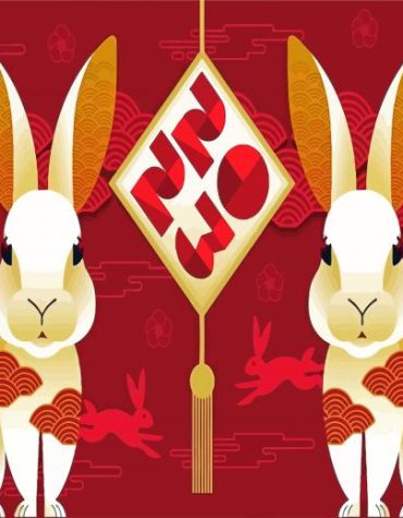 Year Of The Rabbit Poster Paint By Numbers