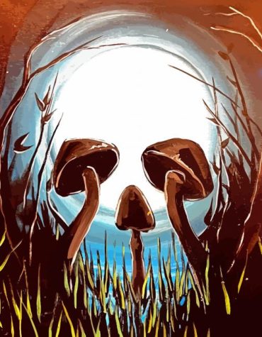 Mushroom Skull Fusion Paint By Numbers