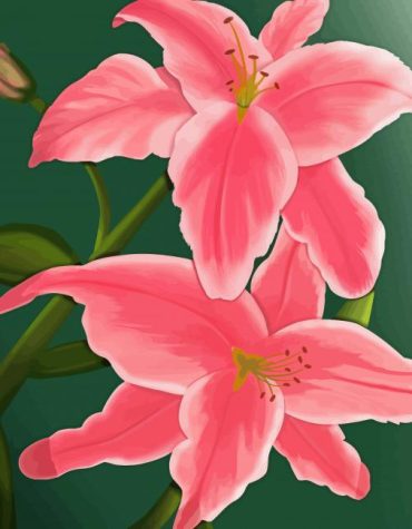 Pink Lily Flowers Paint By Numbers