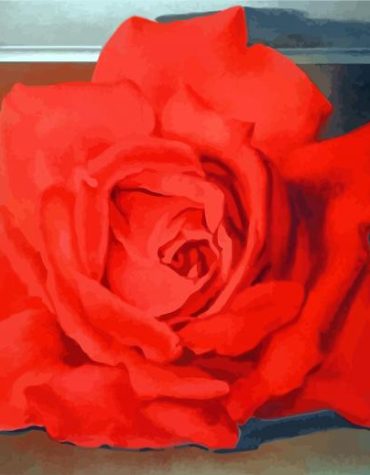 Red Rose Paint By Numbers