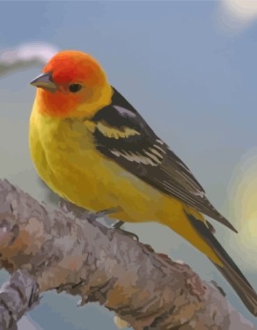 Western Tanager Colorful Paint By Numbers