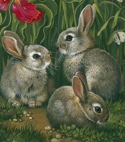 Grey Rabbit Bunnies Paint By Numbers
