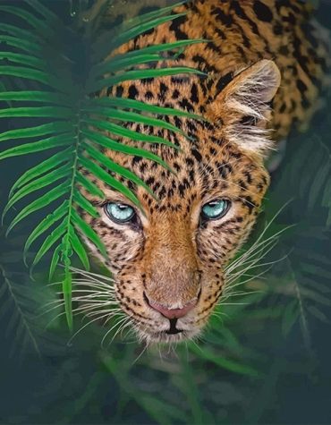 Tiger Paint By Numbers for Animal Lovers