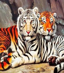 Tiger Couple Animals Paint By Numbers