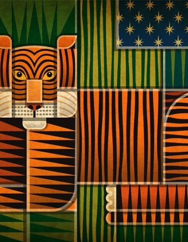 Tiger Illusion Animal Paint By Numbers