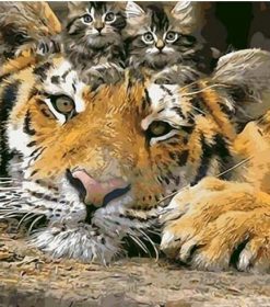 Tiger Kittens Wildlife Paint By Numbers