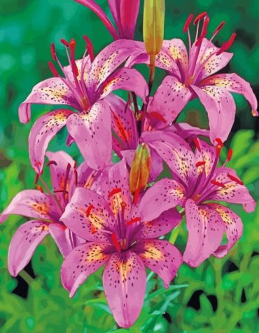 Tiger Pink Lilies Paint By Numbers