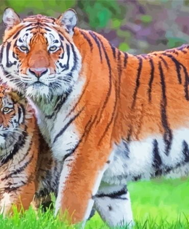 Tiger and Cute Cub Paint By Numbers