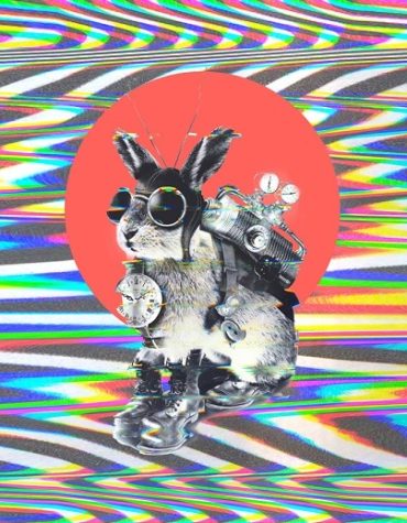 Time Travel Rabbit Paint By Numbers