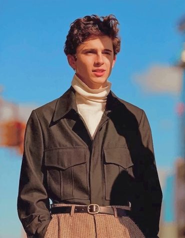 Timothee Chalamet Cute Paint By Numbers