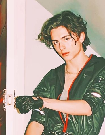 Timothee Chalamet Celeb Paint By Numbers