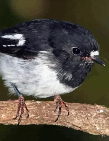 Tomtit on a Branch Paint By Numbers