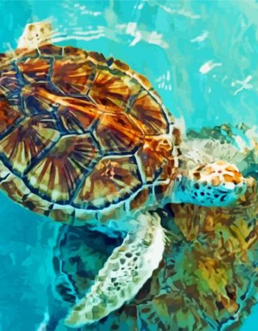 Tortugranja Cancun Sea Turtles Paint By Numbers