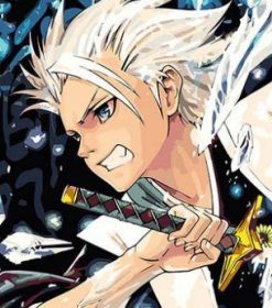 Toshiro Hitsugaya Anime Paint By Numbers