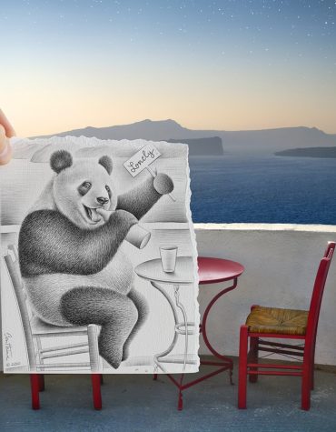 Panda Animal Paint By Numbers
