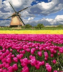 Spring Tulip Fields Paint By Numbers