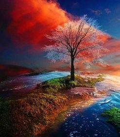 Peaceful Tree Landscape Paint By Numbers