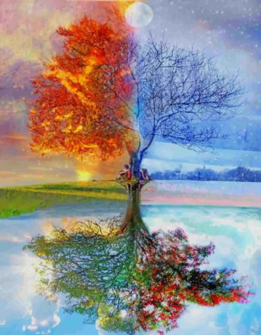 Seasons of Nature Paint By Numbers