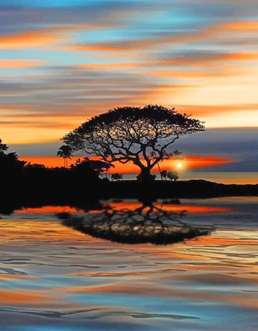 Tree Sunset Silhouette Paint By Numbers