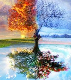 Seasonal Tree Landscape Paint By Numbers