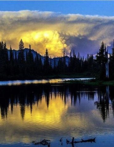 Lake Reflection Art Paint By Numbers