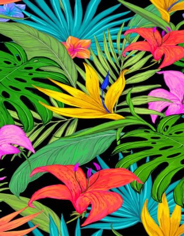 Tropical Monstera Paint By Numbers