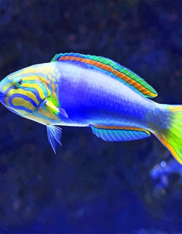 Tropical Blue Fish Painting Kit Paint By Numbers