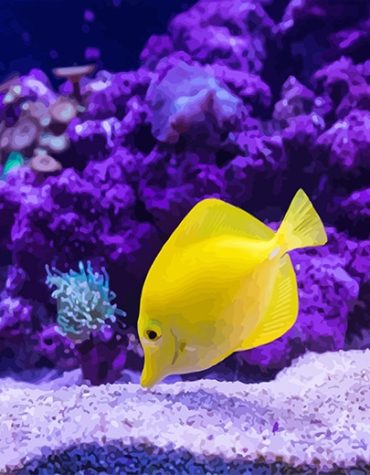 Tropical Yellow Fish Paint By Numbers
