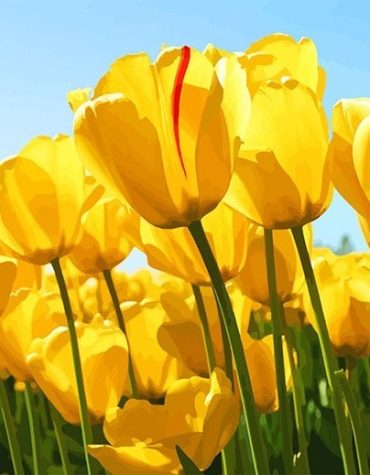 Yellow Tulip Painting for Garden Lovers Paint By Numbers