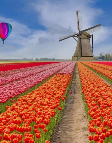 Tulips in Bloom Fields Paint By Numbers