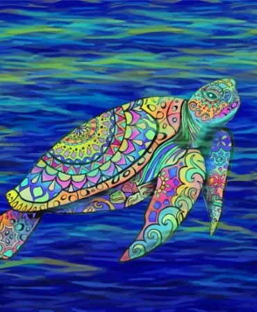 Turtle Mandala Water Art Paint By Numbers
