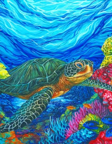 Turtles in Coral Reefs Paint By Numbers