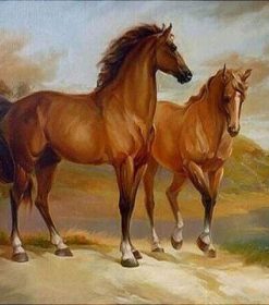 Brown Horses by Water Paint By Numbers