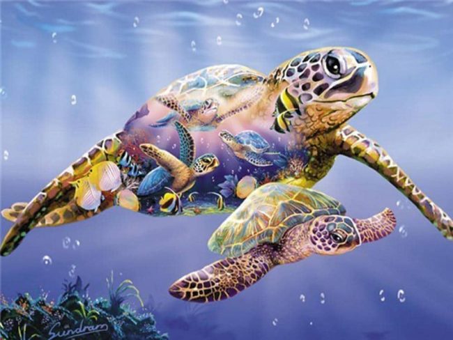 Sea Turtle Animal Paint By Numbers