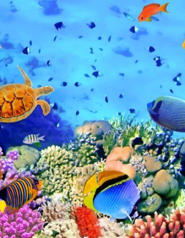 Colorful Coral Reef Fish Paint By Numbers