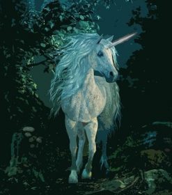 Unicorn in Enchanted Forest Paint By Numbers