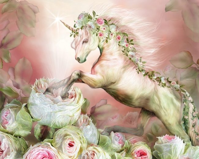 Unicorn Horse Paint By Numbers