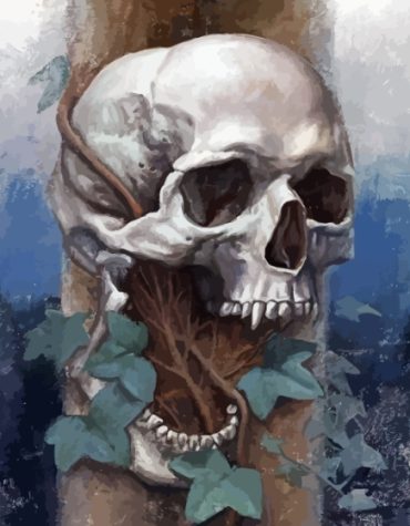 Vampire Skull Art Paint By Numbers