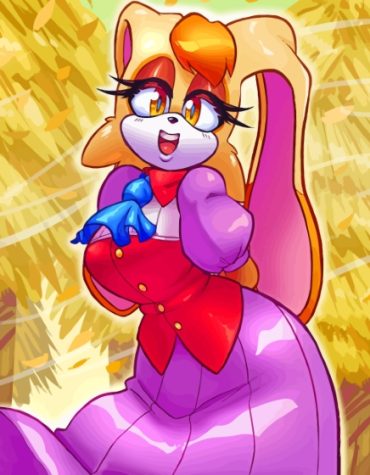 Vanilla The Rabbit Sonic Paint By Numbers