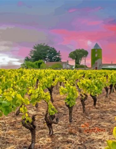 Vineyard France Landscape Paint By Numbers