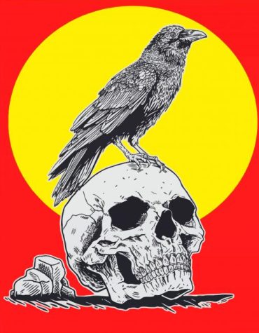 Colorful Crow and Skull Paint By Numbers