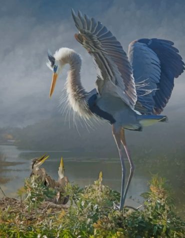 Great Blue Heron Vintage Paint By Numbers