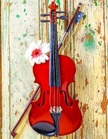 Violin With Daisy Blooms Paint By Numbers