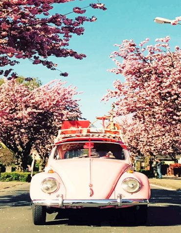 Vintage VW Beetle Summer Paint By Numbers