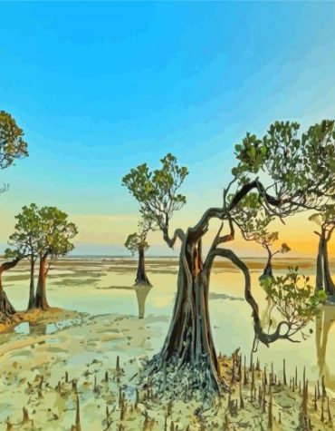 Walakiri Beach Landscape Paint By Numbers