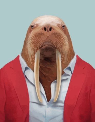 Red Walrus Animal Paint By Numbers