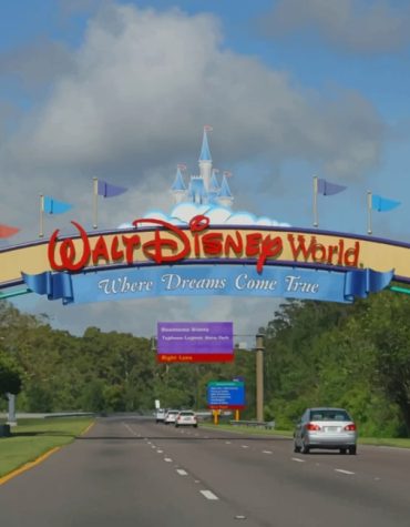 Walt Disney Road Adventure Paint By Numbers