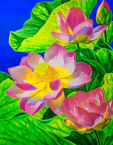 Pink Water Lily Paint By Numbers