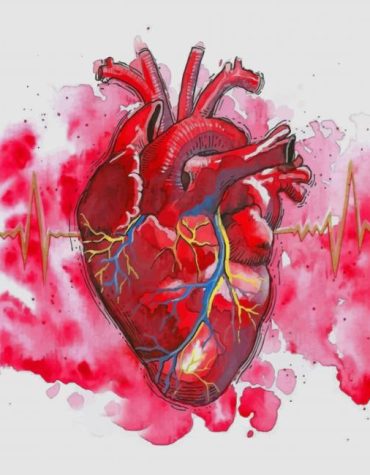 Human Heart Watercolor Art Paint By Numbers