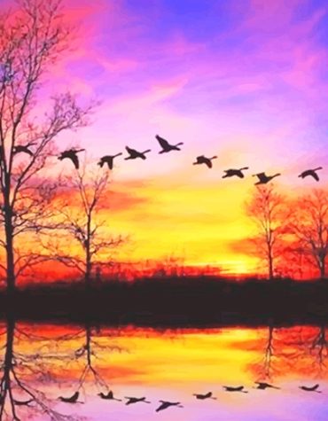Waterfowl Scenic Sunset Paint By Numbers